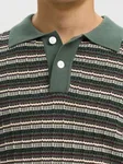 Dane Knit Structure Polo - Balsam Green Stripes