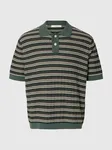 Dane Knit Structure Polo - Balsam Green Stripes