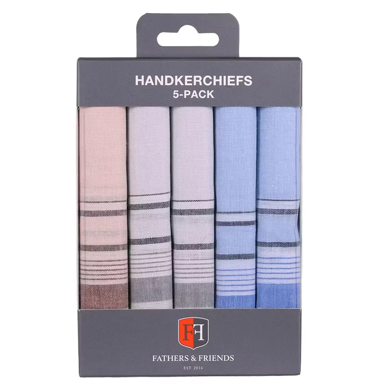 Näsdukar 5-pack - Sky Blue